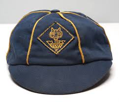cubscout